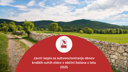 Suhi zid